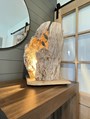 Lamp made from a one of a kind hollow log 